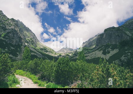 Mlynicka Valley in der Hohen Tatra an einem bewölkten Sommertag Stockfoto