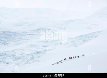 Eine Gruppe von Touristen stehen hoch oben inmitten der verschneiten Weiten der Neko Harbour, Antarktis nach dem Wandern, Form der Küste. Stockfoto