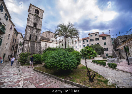 Kirche der Heiligen Maria des Flusses auch bekannt als Saint Osanna Kirche auf die Altstadt von Kotor Küstenstadt in der Bucht von Kotor, Montenegro Stockfoto