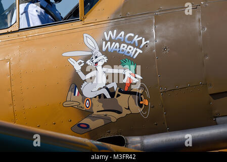 North American T-6 Harvard Texan Wacky Wabbit mit Nase Kunst an der Kleinen Gransden Airshow Stockfoto