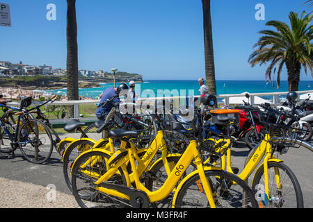 Dock kostenlosen gelben Ofo Fahrräder Fahrräder zum Mieten an Bronte Beach in Sydney, Australien Stockfoto