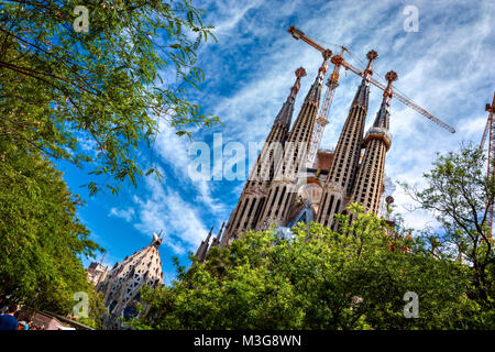 BARCELONA, SPANIEN - 13. MAI 2017: Die Sagrada Familia von Bäumen und einem schönen blauen Himmel umgeben, gesehen von der Gaudi. Stockfoto