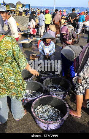 Einheimische verkaufen täglichen Fänge am Jimbaran Strand. Jimbaran Dorf. Südlich von Kuta. Badung Bali Indonesien Regency. Stockfoto