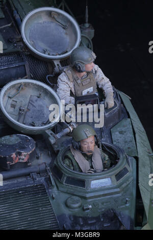 USS RUSHMORE, Pazifischer Ozean - ein Marine mit 3 Assault Amphibian Bataillon, 1st Marine Division, und eine japanische Soldaten mit der Westliche Armee Infanterie Regiment, Japan Ground Self Defense Force, warten Sie auf weitere Anweisungen nach Ihren Amphibisches Fahrzeug an Bord der USS Rushmore (LSD-47) während der Übung Iron Fist 2018, Jan. 31. Die Übung bringt US-Marines aus dem 11 Marine Expeditionary Unit und Soldaten aus dem JGSDF ihre bilateralen Planung, die Kommunikation zu verbessern und die Durchführung des kombinierten amphibischen Operationen. (U.S. Marine Corps Stockfoto