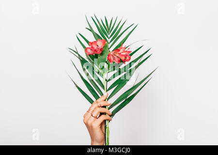 Rote Blumen und Grünes Blatt in weiblicher Hand mit Maniküre auf weißem Hintergrund close-up Stockfoto