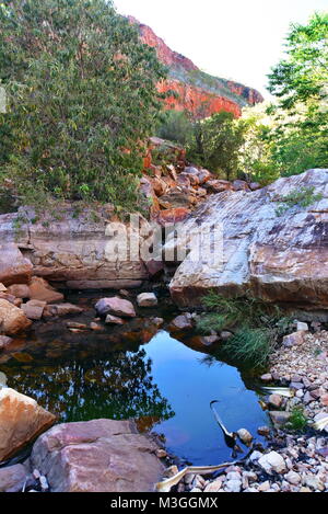 Herrliche Emma Gorge, El Questro Wilderness Park, der Gibb River Road in der Nähe von Kununurra in Westaustralien Stockfoto