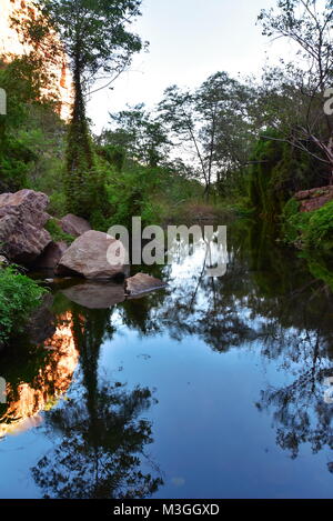 Herrliche Emma Gorge, El Questro Wilderness Park, der Gibb River Road in der Nähe von Kununurra in Westaustralien Stockfoto