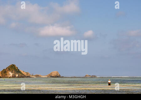 Frauen oft zu Fuß entlang der Küste von Kuta Beach, ein Fischer im Süden von Lombok, auf der Suche nach Seetang, die für das Kochen sehr geschätzt wird. Kuta Lombok Indonesien Stockfoto