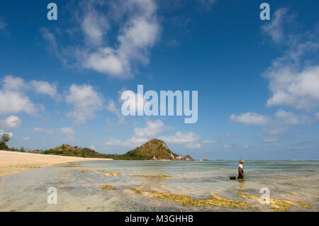 Frauen oft zu Fuß entlang der Küste von Kuta Beach, ein Fischer im Süden von Lombok, auf der Suche nach Seetang, die für das Kochen sehr geschätzt wird. Kuta Lombok Indonesien Stockfoto