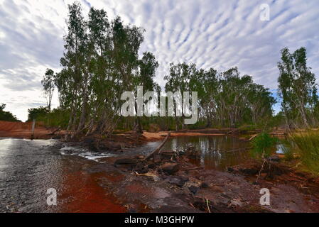 Herrliche Galvans Gorge auf der Gibb River Road Kimberly Region in Western Australia Stockfoto