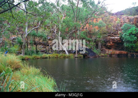 Herrliche Galvans Gorge auf der Gibb River Road Kimberly Region in Western Australia Stockfoto