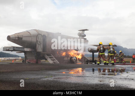 Us-Marines mit Flugzeugen Rettung Brandbekämpfung (ARFF), ein Feuer von einem schulflugzeug löschen während ein Rad Feuer Übung an der West Feld, Marine Corps Air Station, Feb 2, 2018. ARFF durchgeführt ein Rad Feuer übung Kenntnisse, die bei der Beurteilung der und Löschen eines Brandes durch die Nutzung der mobilen Flugzeuge Löschübungen Gerät verbessern. (U.S. Marine Corps Stockfoto