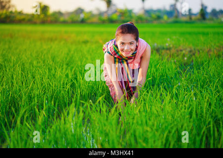 Bauer Frau arbeiten im Reisfeld, Thailand Stockfoto