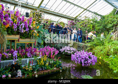 Februar 11, 2018 - Erstmals die Kew jährliche blumig Extravaganz durch Thailand inspiriert wurde. Für vier Wochen, Kew Gardens, Besucher zu seinen 23. jährlichen Orchideen Festival willkommen mit kreativen Designs und einzigartigen Erfahrungen. Credit: Velaren Grant/ZUMA Draht/Alamy leben Nachrichten Stockfoto