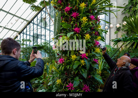 Februar 11, 2018 - Erstmals die Kew jährliche blumig Extravaganz durch Thailand inspiriert wurde. Für vier Wochen, Kew Gardens, Besucher zu seinen 23. jährlichen Orchideen Festival willkommen mit kreativen Designs und einzigartigen Erfahrungen. Credit: Velaren Grant/ZUMA Draht/Alamy leben Nachrichten Stockfoto