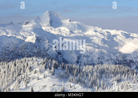 Blick auf schneebedeckte Berge mit Schnee bedeckten Kiefernwald im Vordergrund. Stockfoto