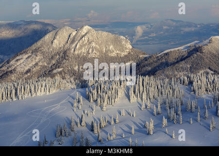 Szene im Winter auf Schnee bedeckten Plateau mit Pinien und den Bergen im Hintergrund. Stockfoto