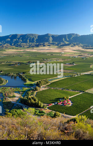 Südafrika, Western Cape, Robertson, Robertson Wine Valley. Vordergrund: Van Loveren Wine Estate und Weinberge. Stockfoto