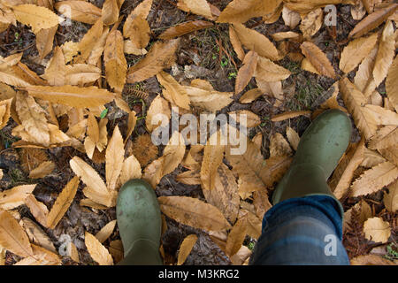 Eine Person, ein paar traditionelle grüne Gummi Gummistiefel in einem Wald. Regnerischen Herbst mit Blätter auf dem Boden. persönliche Sicht Stockfoto