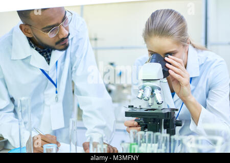 Wissenschaftler Forschen im Labor Stockfoto