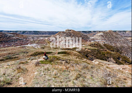 Pferdedieb Canyon in der Nähe von Drumheller, Alberta Stockfoto