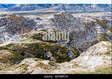 Pferdedieb Canyon in der Nähe von Drumheller, Alberta Stockfoto