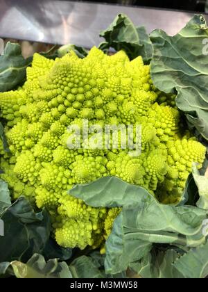 Brokkoli Romanesco Kohl (oder römischen Blumenkohl) Stockfoto