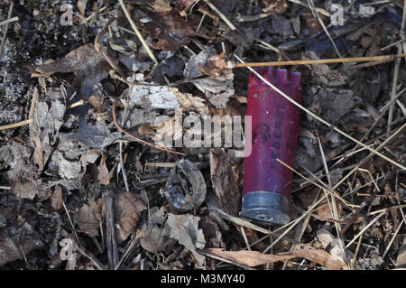 Leeres rotes Shotgun Bullet Shell auf dem Boden Stockfoto