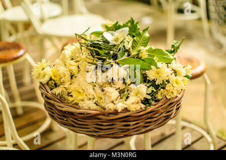 Runde Rattan Korb mit weißen Chrysantheme Blumen auf einem Hocker. Morgen Licht. Stockfoto
