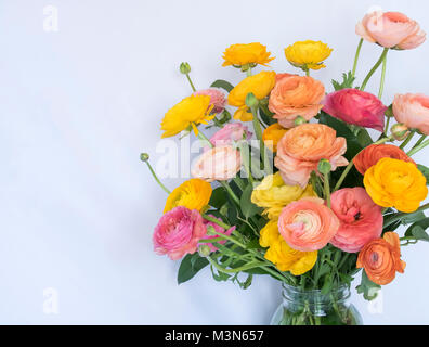 Blumenstrauß aus ranunkeln Blumen in Pink Orange Gelb Pfirsich Farben auf weißem Hintergrund Stockfoto