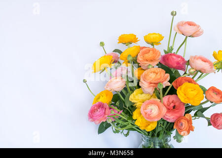 Blumenstrauß aus der Feder Ranunculus Blumen auf weißem Hintergrund Stockfoto