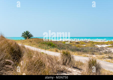 Saadiyat Island, öffentlichen Strand Resort, Entspannung am Strand Stockfoto