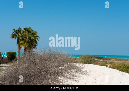 Saadiyat Island, öffentlichen Strand Resort, Entspannung am Strand Stockfoto