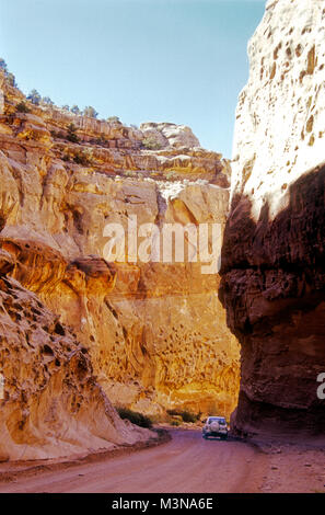 Hohe Mauern von glühenden Wingate Sandstein Zwerg ein Pkw auf dem Capitol Reef National Park Scenic Drive in South-central Utah. Stockfoto