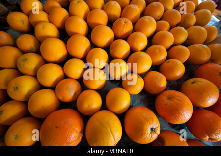 Kalifornien Orangen Stockfoto