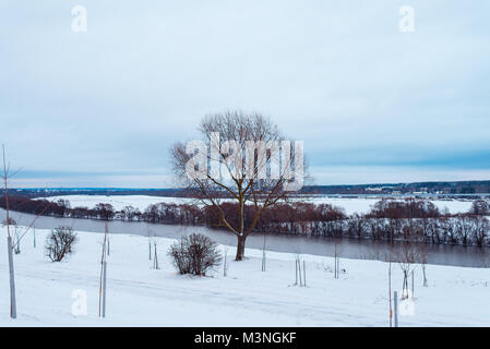 Ein Baum auf einer Lichtung mit Schnee bedeckt. In der Ferne den Fluss Oka. Wanderweg im Schnee. Stockfoto