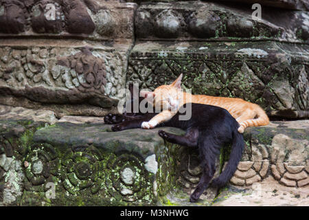 Der Bayon ist eine bekannte, reich verzierte Khmer-Tempel in Angkor in Kambodscha. Stockfoto
