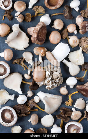 Auswahl von Wild- und Zuchtfisch ablesen Pilze auf einer Schiefertafel Hintergrund. Stockfoto