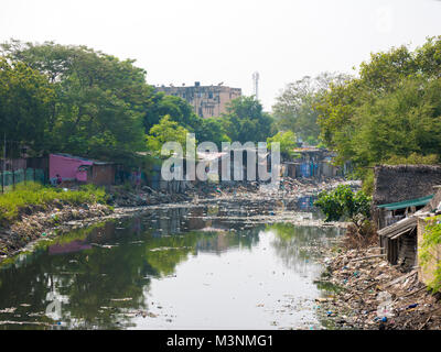 Abfälle und Müll umweltschädliche See oder Kanal Katastrophe verursachen. Chennai, Tamil Nadu, Indien Stockfoto