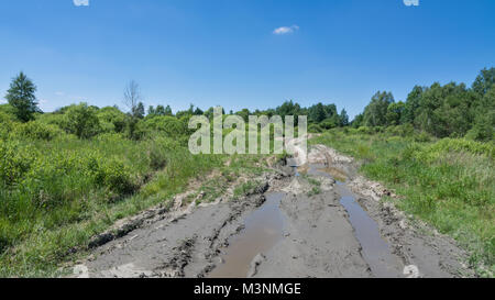 Off-road Track, Pfützen und reifen Abdrücke im Sommer Landschaft mit blauen Himmel. Die Schlammigen, holprigen Weg in verlassenen militärischen Bereich. Bäume, Sträucher und Gras. Stockfoto