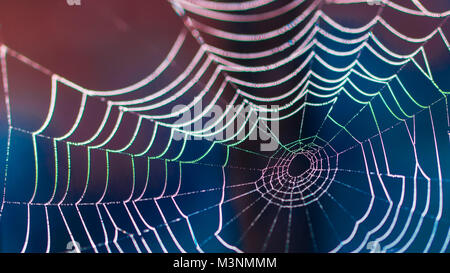 Bunte Nahaufnahme eines nassen Cobweb in einer gespenstischen Nacht. Textur aus dem schönen lit Spider Trap mit kleinen Tropfen Tau auf dunklen verschwommenen Hintergrund. Stockfoto