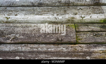 Alte hölzerne Wand mit Spuren von Moos. Dekorative vintage Hintergrund mit horizontalen Streifen von verwitterten Bohlen. Stockfoto