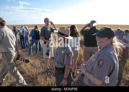 Schwarz-füßiges Frettchen Festival. Badlands National Park mit einer Gedenkstunde an die Wiederentdeckung der Schwarz-füßiges Frettchen in der Wildnis mit einem Frettchen Festival. Stockfoto