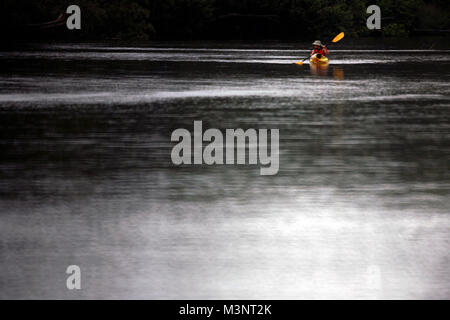 Ein Kajak auf dem St. Croix River in Wisconsin zwischen Riverside Landing und Danbury. Stockfoto