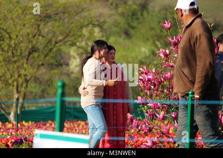 Touristen in Indira Gandhi Memorial Tulip Garten, Kaschmir, Indien, Asien Stockfoto