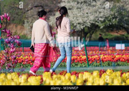 Touristen in Indira Gandhi Memorial Tulip Garten, Kaschmir, Indien, Asien Stockfoto