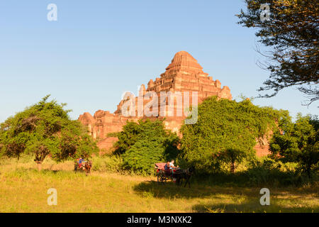 Bagan: Dhammayangyi Tempel, Pferdewagen, Region, Mandalay, Myanmar (Birma) Stockfoto