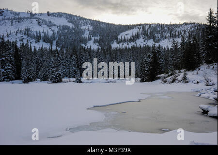 Trillium Lake über während des Winters in Mt eingefroren. Hood National Forest in Oregon. Stockfoto