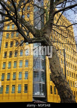Gelb, Ecke Bürogebäude und Baum in der Nähe von Oxford Circus in London's West End.
