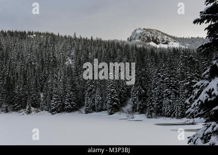 Trillium Lake über während des Winters in Mt eingefroren. Hood National Forest in Oregon. Stockfoto